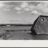 Tobacco fields devastated by the Connecticut River near Northampton, Massachusetts.