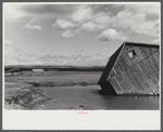 Tobacco fields devastated by the Connecticut River near Northampton, Massachusetts.