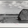 Tobacco fields devastated by the Connecticut River near Northampton, Massachusetts.