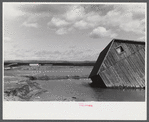 Tobacco fields devastated by the Connecticut River near Northampton, Massachusetts.