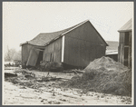 Barn of client after the Connecticut River had subsided, Hatfield, Massachusetts.