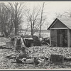 Destruction caused by disease-infected waters of the Connecticut River. The owner has received a grant. Near Hatfield, Massachusetts.