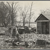 Destruction caused by disease-infected waters of the Connecticut River. The owner has received a grant. Near Hatfield, Massachusetts.