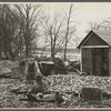 Destruction caused by disease-infected waters of the Connecticut River. The owner has received a grant. Near Hatfield, Massachusetts.