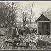 Destruction caused by disease-infected waters of the Connecticut River. The owner has received a grant. Near Hatfield, Massachusetts.