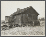 Occupied farm house on land optioned by Resettlement [Administration]. Danby, New York.