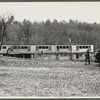 Henhouse of a poultry cooperative society near Stevensville [i.e. Swan Lake], New York.