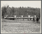 Henhouse of a poultry cooperative society near Stevensville [i.e. Swan Lake], New York.