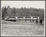 Henhouse of a poultry cooperative society near Stevensville [i.e. Swan Lake], New York.
