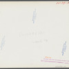 Chickens belonging to one of the members of the Jewish poultry cooperative at Liberty, New York.