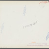 Chickens belonging to one of the members of the Jewish poultry cooperative at Liberty, New York.