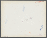 Chickens belonging to one of the members of the Jewish poultry cooperative at Liberty, New York.