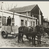 Cart removing chicken manure at the farm of one of the members of the Jewish poultry cooperative, Liberty, New York.