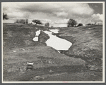 Sub-marginal land to be used for wild life project. Near Easton, Pennsylvania.