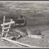 Debris near Rensselaerville, New York.