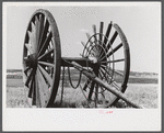 Giant wheels ten feet in diameter, once used for carrying logs to sawmill, Michigan.