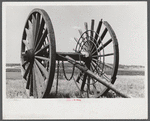 Giant wheels ten feet in diameter, once used for carrying logs to sawmill, Michigan.