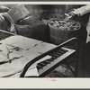 Albany County, New York. Bed on which a farmer lay weakened from malnutrition, although life-maintaining food was close at hand.