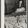 Daughter of one of the members of the poultry cooperative at Liberty, New York.