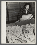 Daughter of one of the members of the poultry cooperative at Liberty, New York.