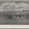 Farm on submarginal land optioned by Resettlement Administration for wildlife area. Near Canton, Pennsylvania.