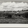 Farm on submarginal land optioned by Resettlement Administration for wildlife area. Near Canton, Pennsylvania.