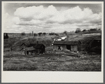 Farm on submarginal land optioned by Resettlement Administration for wildlife area. Near Canton, Pennsylvania.
