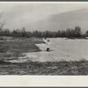 Wind erosion control. Branches placed on sand in direction of prevailing winds. Michigan.