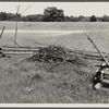 Game cover fence with food patch in background. Waterloo project, Michigan.