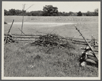 Game cover fence with food patch in background. Waterloo project, Michigan.