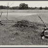 Game cover fence with food patch in background. Waterloo project, Michigan.