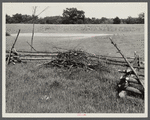 Game cover fence with food patch in background. Waterloo project, Michigan.