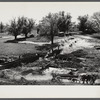 Fish-rearing pond dam construction. Waterloo project, Michigan.