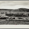 Wood cut on Resettlement Administration land near Rensselaerville, New York. Albany County.