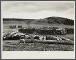 Wood cut on Resettlement Administration land near Rensselaerville, New York. Albany County.