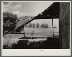 Abandoned farmhouse on poor land, now owned by Resettlement Administration. Allegan County, Michigan.