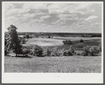 Rolling farm country near Allegan, Michigan.