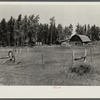 Abandoned farm since last fall. Old pair of wheels in foreground. Beltrami Island reforestation project, Minnesota.