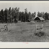 Abandoned farm since last fall. Old pair of wheels in foreground. Beltrami Island reforestation project, Minnesota.