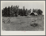 Abandoned farm since last fall. Old pair of wheels in foreground. Beltrami Island reforestation project, Minnesota.