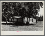 View of house. Beltrami Island reforestation project, Minnesota.