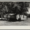 View of house. Beltrami Island reforestation project, Minnesota.