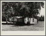 View of house. Beltrami Island reforestation project, Minnesota.