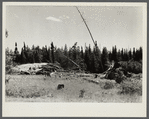Abandoned sawmill located one mile from fine stand of Norway pine. Beltrami Island reforestation project, Minnesota.