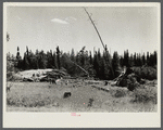 Abandoned sawmill located one mile from fine stand of Norway pine. Beltrami Island reforestation project, Minnesota.