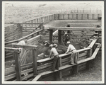 View of loading cattle. Medora, North Dakota.