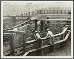 View of loading cattle. Medora, North Dakota.