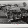 View of the loading chute and trains at Medora, North Dakota.
