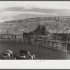 View of the corrals and some of the cattle at Medora, North Dakota.