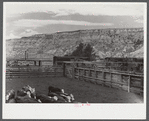 View of the corrals and some of the cattle at Medora, North Dakota.